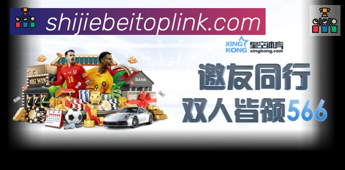 未来规划